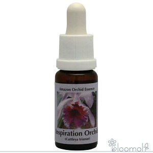 t[GbZX RePHIGbZX A}]I[LbhGbZX CXs[VI[Lbh