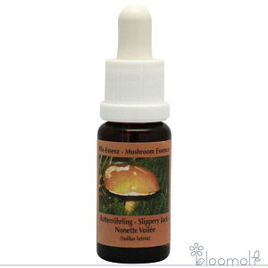 t[GbZX RePHIGbZX }bV[ ̂ GbZX Xbp[WbN