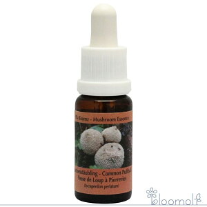 t[GbZX RePHIGbZX }bV[ ̂ GbZX Rpt{[