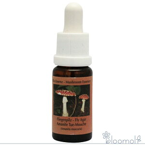 t[GbZX RePHIGbZX }bV[ ̂ GbZX tCAKbN