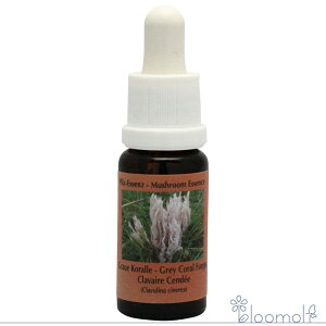 t[GbZX RePHIGbZX }bV[ ̂ GbZX OCR[t@KX