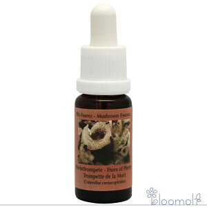 t[GbZX RePHIGbZX }bV[ ̂ GbZX z[IuveB