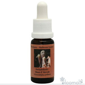 t[GbZX RePHIGbZX }bV[ ̂ GbZX NoAft@X