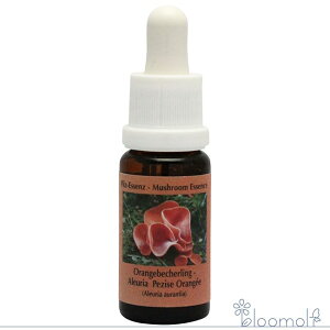 t[GbZX RePHIGbZX }bV[ ̂ GbZX AEA