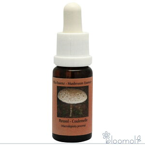 t[GbZX RePHIGbZX }bV[ ̂ GbZX p\