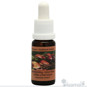 t[GbZX RePHIGbZX }bV[ ̂ GbZX xxbgVN