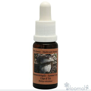 t[GbZX RePHIGbZX }bV[ ̂ GbZX T}[Zbv