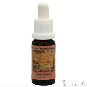 t[GbZX RePHIGbZX }bV[ ̂ GbZX CP