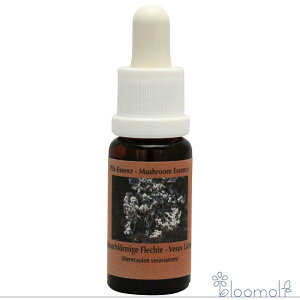 t[GbZX RePHIGbZX }bV[ ̂ GbZX FY[tCP