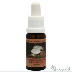 t[GbZX RePHIGbZX }bV[ ̂ GbZX sXe