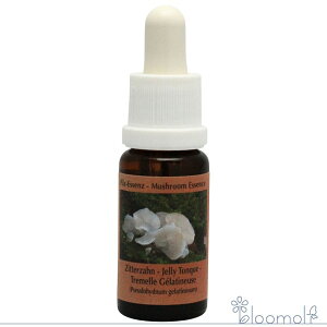 t[GbZX RePHIGbZX }bV[ ̂ GbZX WF[^O