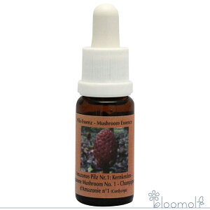 t[GbZX RePHIGbZX }bV[ ̂ GbZX A}]}bV[1