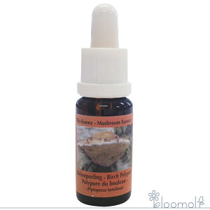 t[GbZX RePHIGbZX }bV[ ̂ GbZX o[`||A