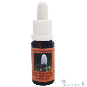 t[GbZX RePHIGbZX }bV[ ̂ GbZX VM[CNLbv