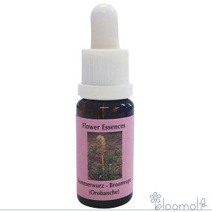 t[GbZX RePHIGbZX }bV[ ̂ GbZX IoP