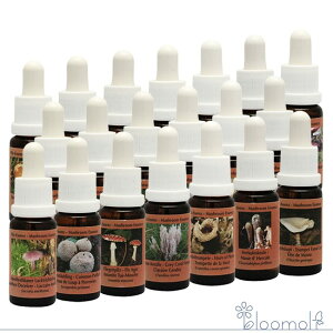 t[GbZX RePHIGbZX }bV[ ̂ GbZX }bV[ ̂ S20{Zbg