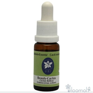 r[eB[JN^X RePHIGbZX JN^X T{e GbZX