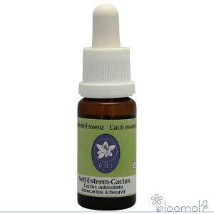 ZtGXeB[JN^X RePHIGbZX JN^X T{e GbZX