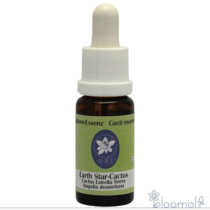 A[XX^[JN^X RePHIGbZX T{e t[GbZX