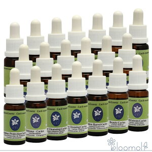 JN^XGbZXS20{Zbg RePHIGbZX JN^X T{e GbZX