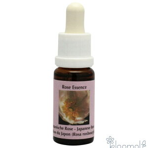 t[GbZX RePHIGbZX [YGbZX Wpj[Y[Y