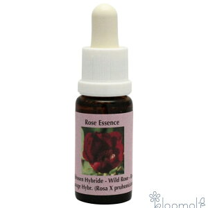 t[GbZX RePHIGbZX [YGbZX Ch[Y