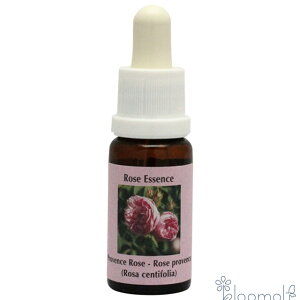 t[GbZX RePHIGbZX [YGbZX voX[Y