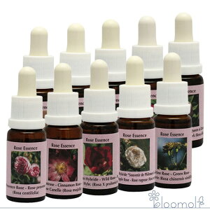 t[GbZX RePHIGbZX [YGbZX [YGbZX S10{Zbg