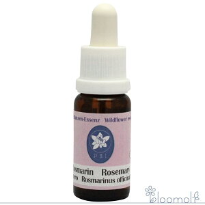 [Y}[ RePHIGbZX Cht[GbZX