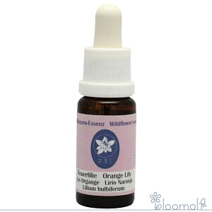 IW[ RePHIGbZX Cht[GbZX