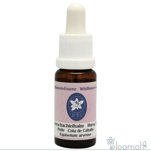 t[GbZX RePHIGbZX Cht[GbZX z[XeC