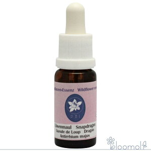 �t�����[�G�b�Z���X �R���ePHI�G�b�Z���X ���C���h�t�����[�G�b�Z���X �X�i�b�v�h���S��