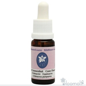 t[GbZX RePHIGbZX Cht[GbZX R[t[