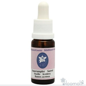 t[GbZX RePHIGbZX Cht[GbZX \[