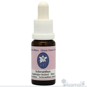 XNTX RePHIGbZX NVbNGbZX