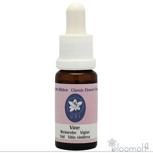 oC RePHIGbZX NVbNGbZX