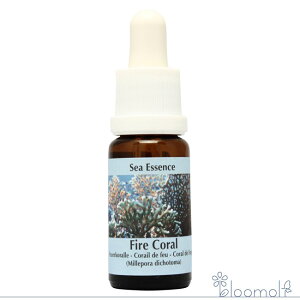 �t�@�C�A�[�R�[���� Fire Coral �R���ePHI�G�b�Z���X �V�[�G�b�Z���X