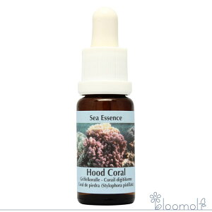 �t�[�h�R�[���� Hood Coral �R���ePHI�G�b�Z���X �V�[�G�b�Z���X