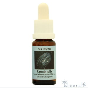 R[WF[ Comb jelly RePHIGbZX/V[GbZX