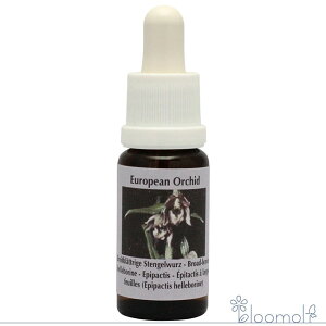 t[GbZX RePHIGbZX [sAI[LbhGbZX u[h[tw{[