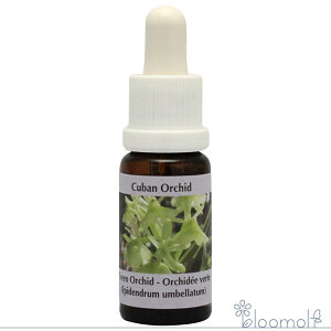 t[GbZX RePHIGbZX JrAGbZX O[I[Lbh