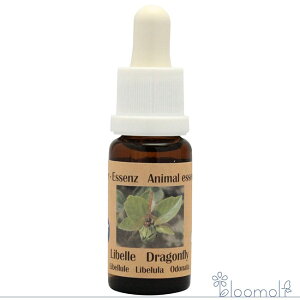 t[GbZX RePHIGbZX [sAAj}GbZX g{