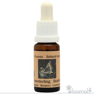 t[GbZX RePHIGbZX [sAAj}GbZX 