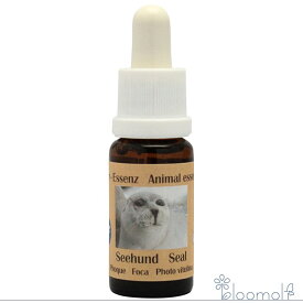 フラワーエッセンス コルテPHIエッセンス ヨーロピアンアニマルエッセンス アザラシ