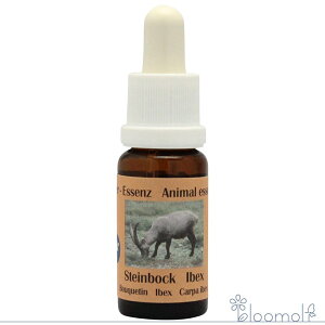 t[GbZX RePHIGbZX [sAAj}GbZX Rr