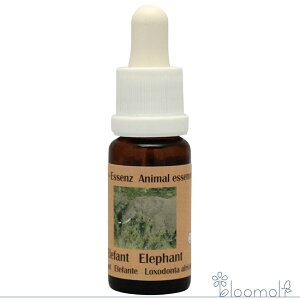 t[GbZX RePHIGbZX AtJAj}GbZX Gt@g