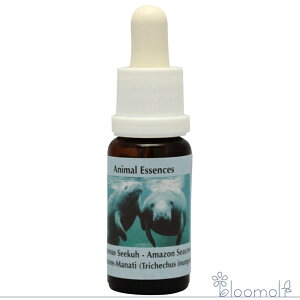 t[GbZX RePHIGbZX Aj}GbZX2 }ieB