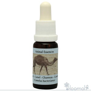 t[GbZX RePHIGbZX Aj}GbZX2 L