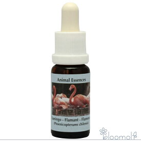 フラワーエッセンス コルテPHIエッセンス アニマルエッセンス2 フラミンゴ