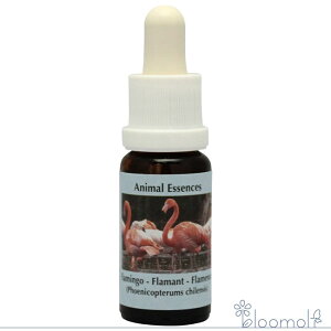 t[GbZX RePHIGbZX Aj}GbZX2 t~S